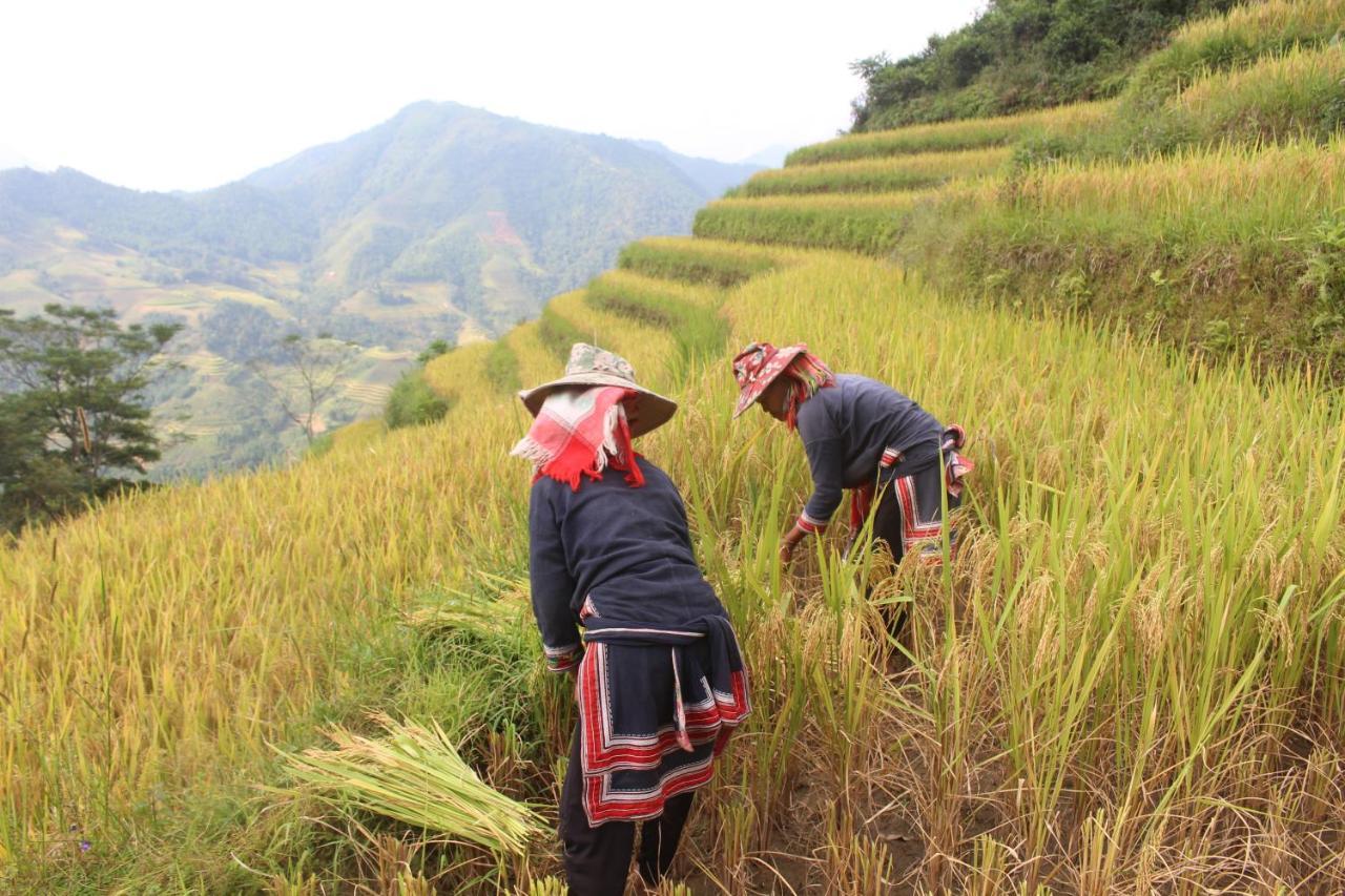 Hoang Su Phi Lodge Ha Giang Exteriör bild